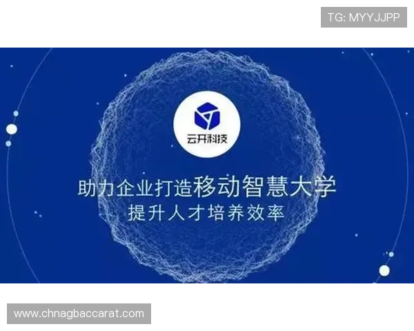 开云真人城市分布图详细标注各地开云真人的具体位置与联系信息